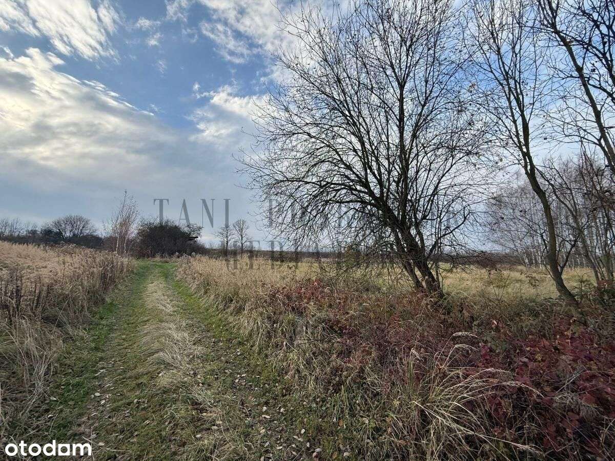 Działka rolna cena do ustalenia - Czernica-10