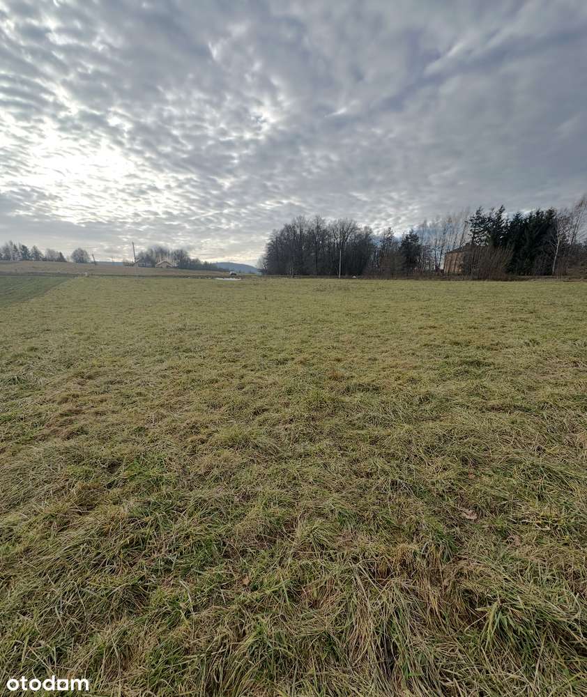 DZIAŁA INWESTYCYJNA PRZEMYSŁOWA Kryg Okazja 64a Uzbrojona - Pełny obrazek: 4/4