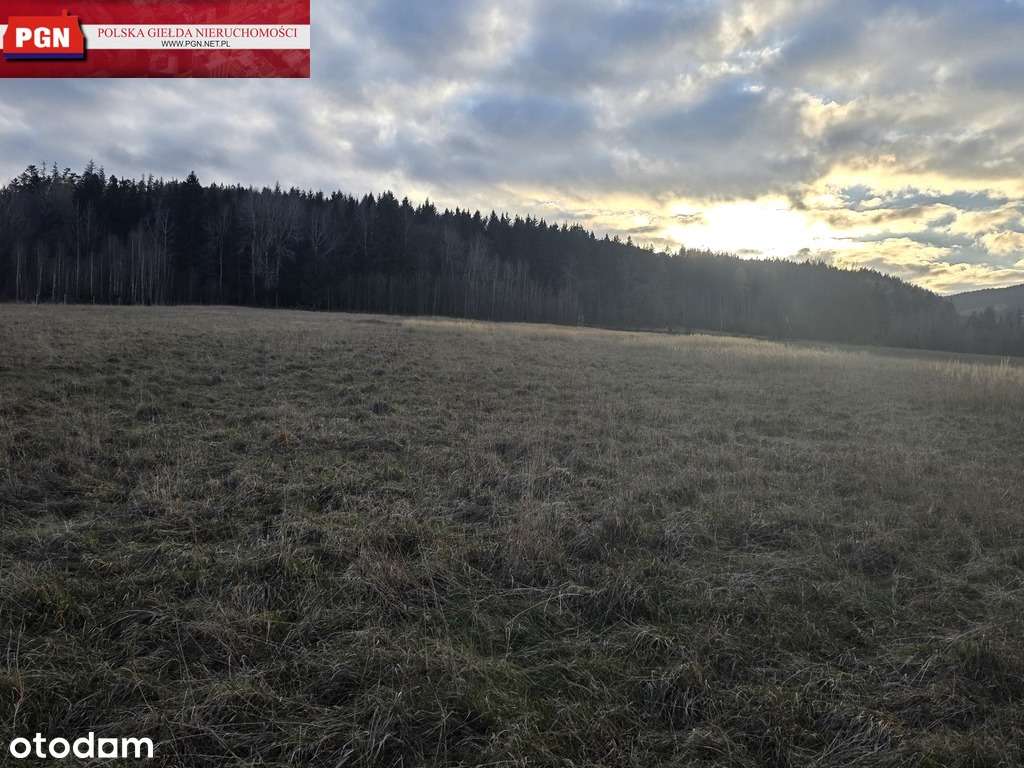 Atrakcyjna działka  budowlana w Szczytnej-4