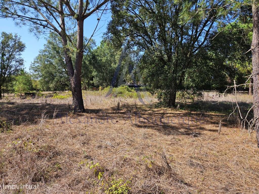 Excelente oportunidade de investimento! - Grande imagem: 4/7