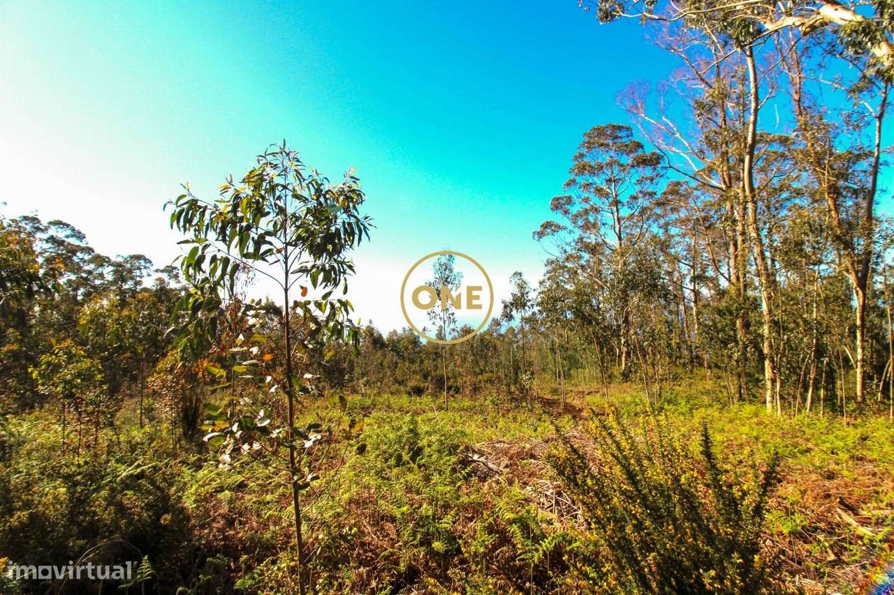 Terreno - Grande imagem: 2/10