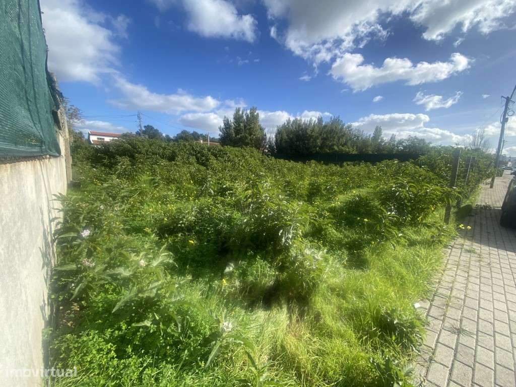 Terreno Urbano para construção de 3 moradias - Azeitão - Grande imagem: 4/9