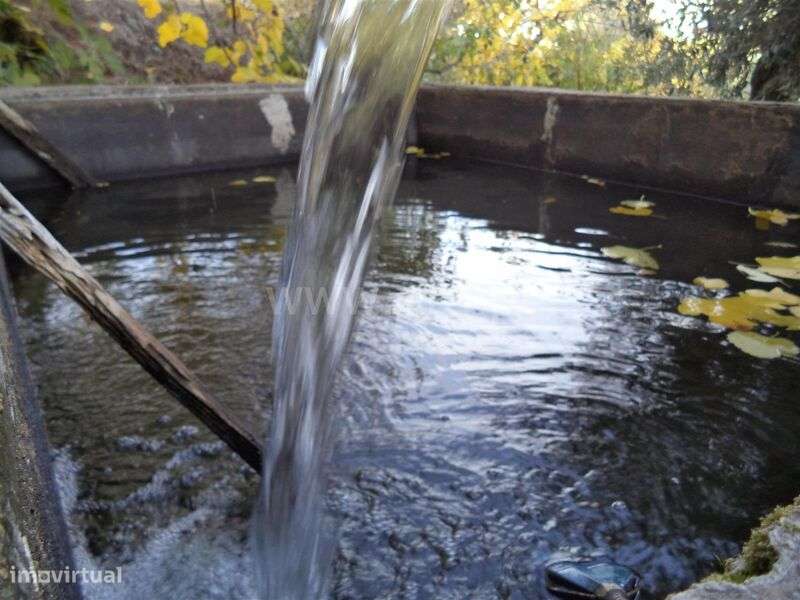 Terreno / Fundão, Capinha - Grande imagem: 3/10