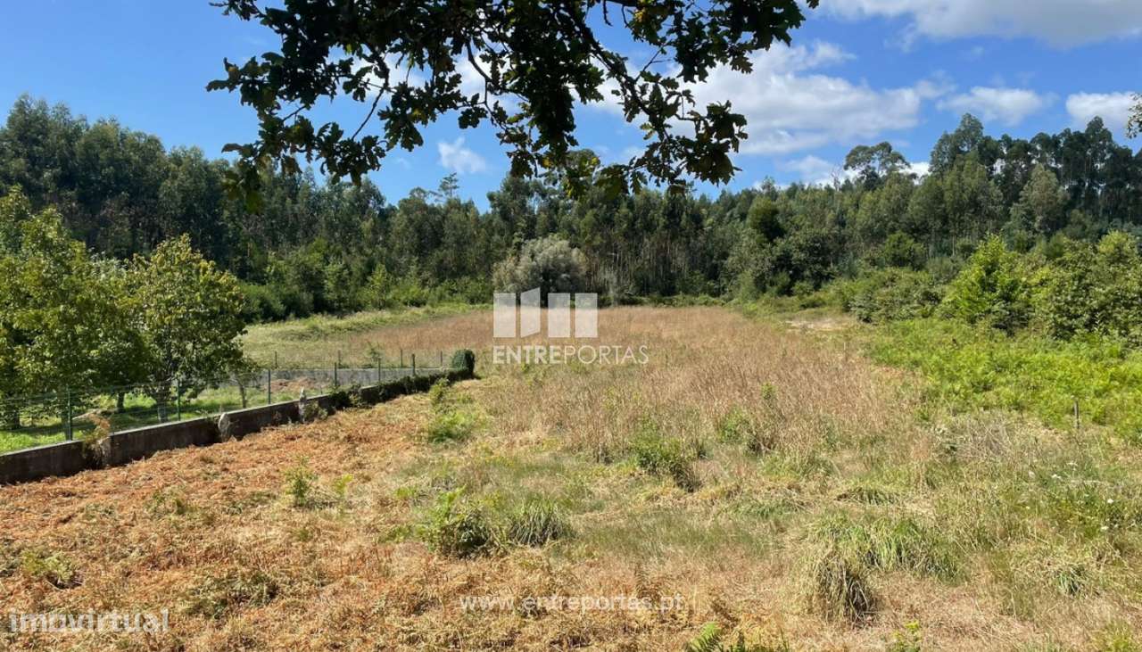 Venda de terreno com 6874m², Nogueira, Viana do Castelo - Grande imagem: 4/30