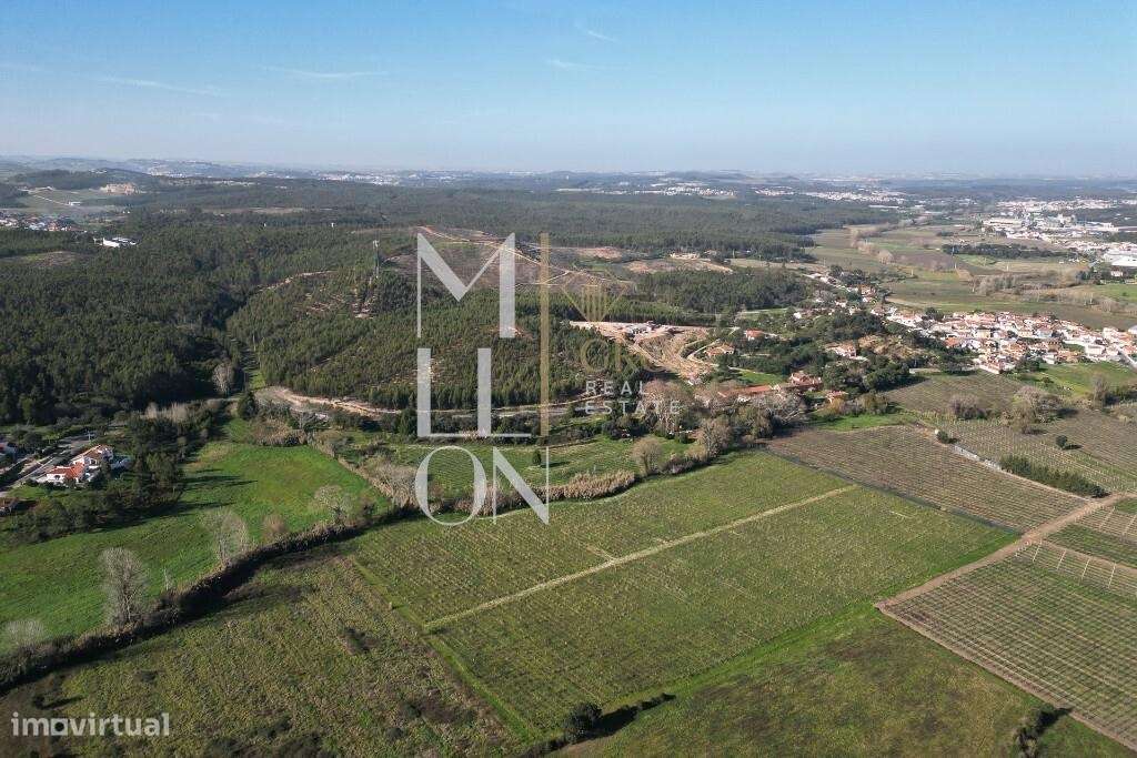 Propriedade Histórica e Vinícola Única – Uma Oportunidade Rara a 50 mi - Grande imagem: 4/31