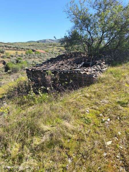 Vendo um terreno com vinha  em Moncorvo - Grande imagem: 5/8