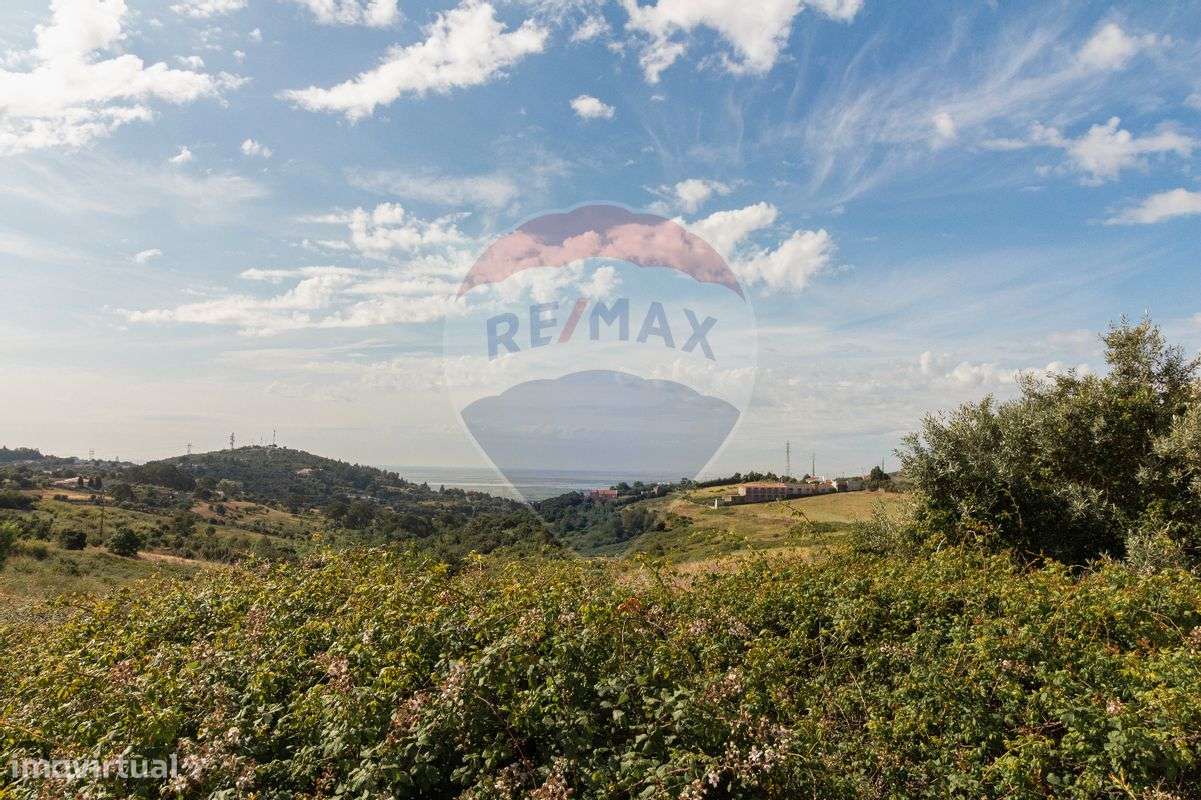 Terreno T0 para venda - Grande imagem: 4/10