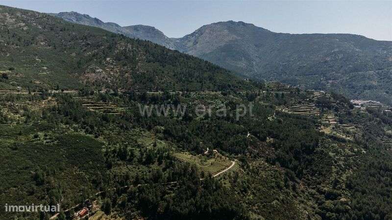 Terreno / Seia, Loriga - Grande imagem: 5/16