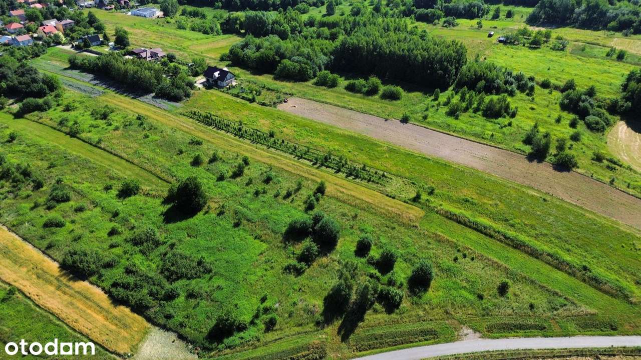 Działka inwestycyjna 1,21 ha, Rzeszów 3600 PUM, media, Przybyszówka - Pełny obrazek: 4/4