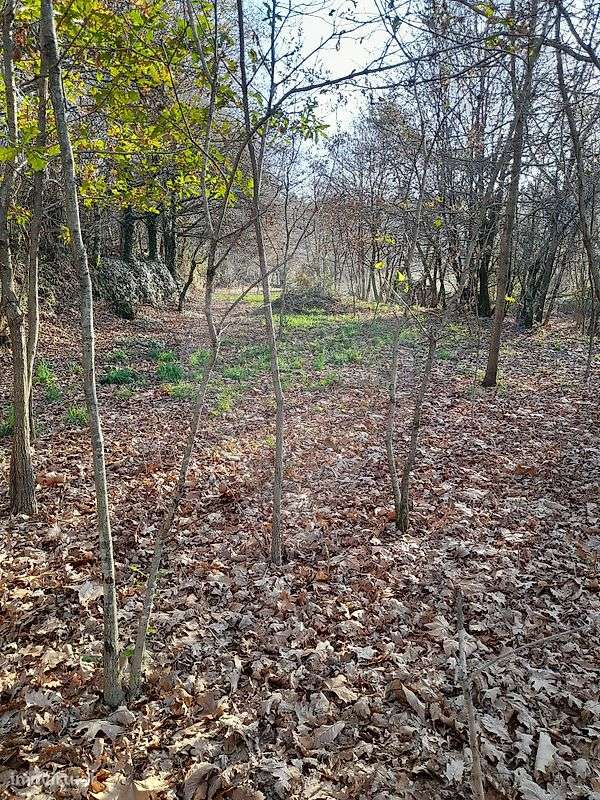 Terreno  para venda - Grande imagem: 2/6