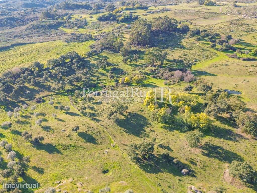 Quintinha com 1,2ha e ruína urbana em São Miguel Acha-19