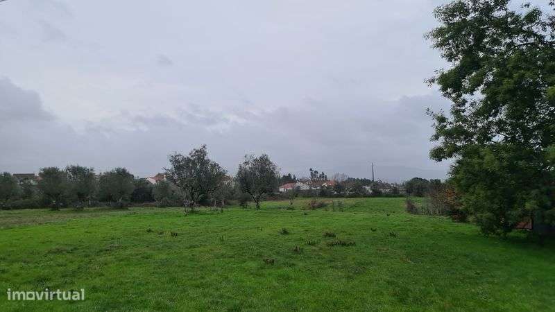 Terreno em Pinheiro de Coja - Grande imagem: 4/7