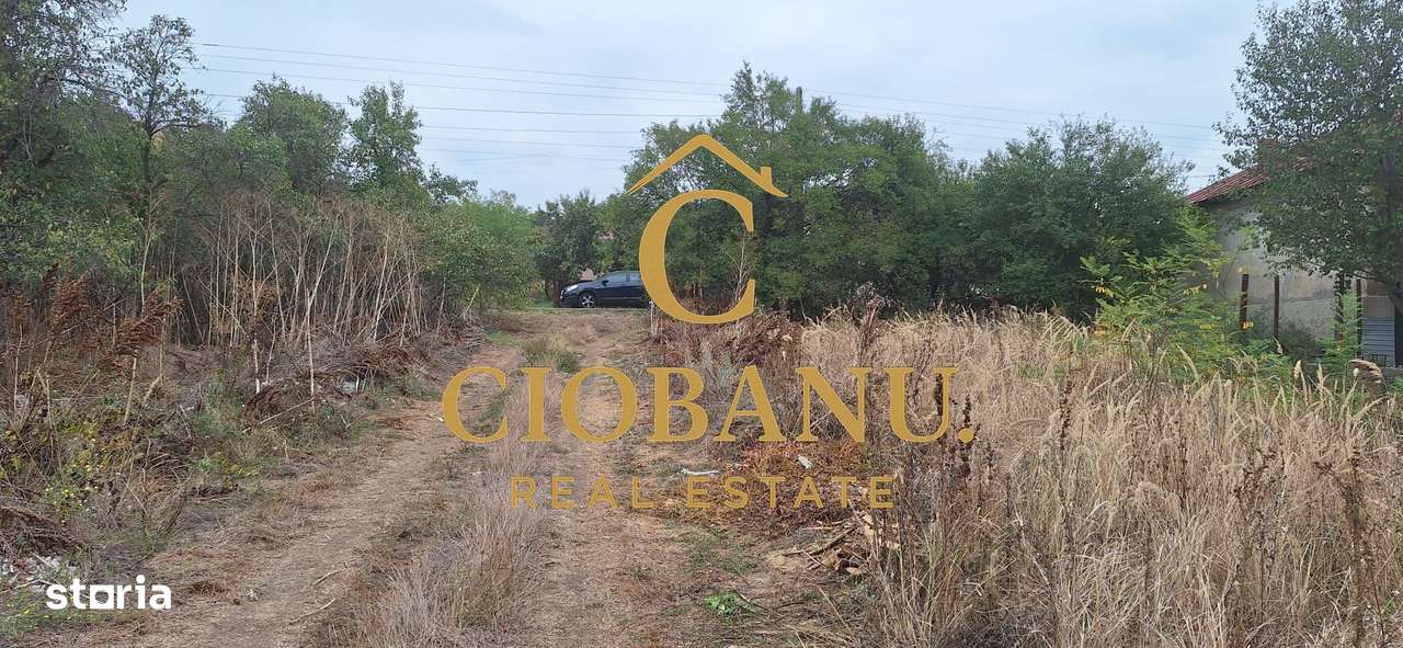 Teren Intravilan/Extravilan de vanzare in Bradestii Batrani-8