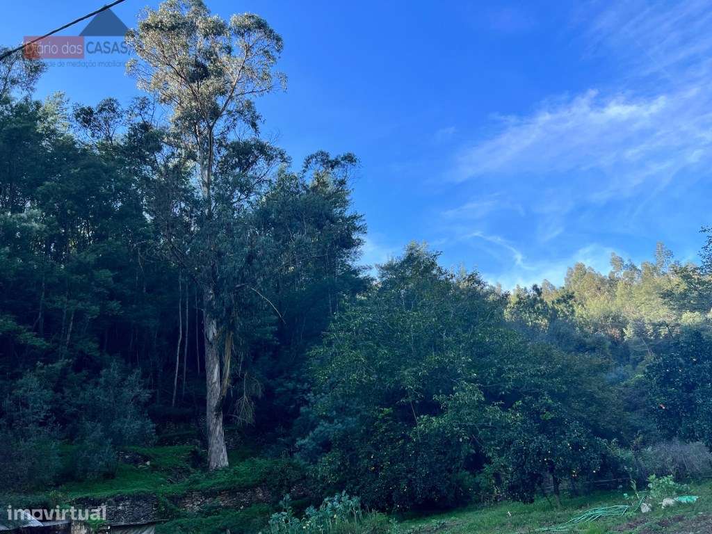 Lagar em Coimbra - Torres do Mondego (Coimbra) Portugal-20