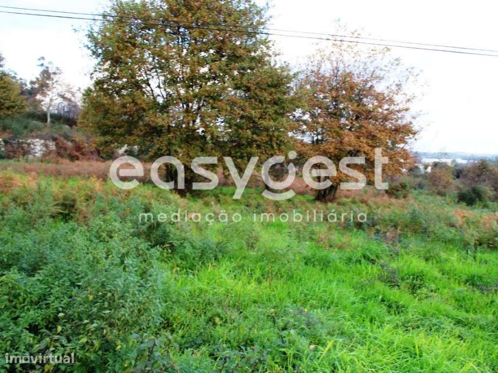 Moradia para Recuperação em Campo de Besteiros - Grande imagem: 4/7