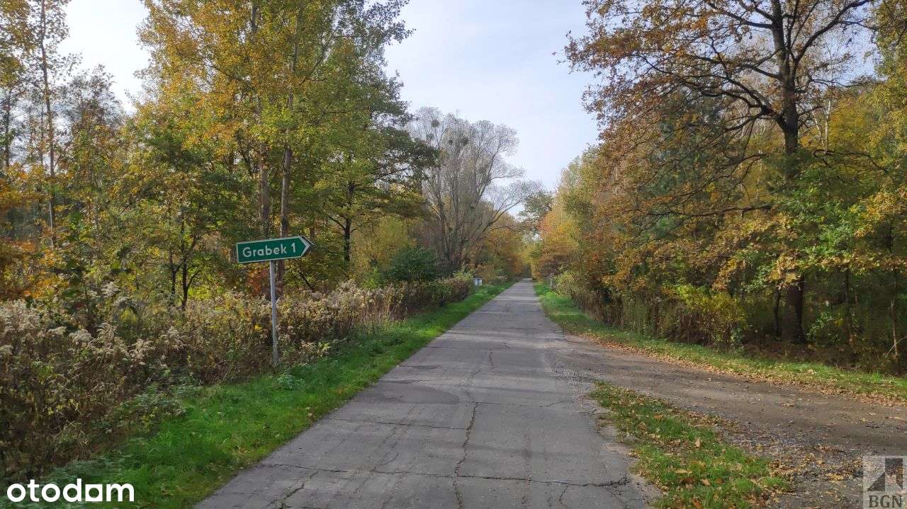 Działka z lasem, Twardogóra - 60 km od Wrocławia. - Pełny obrazek: 5/9