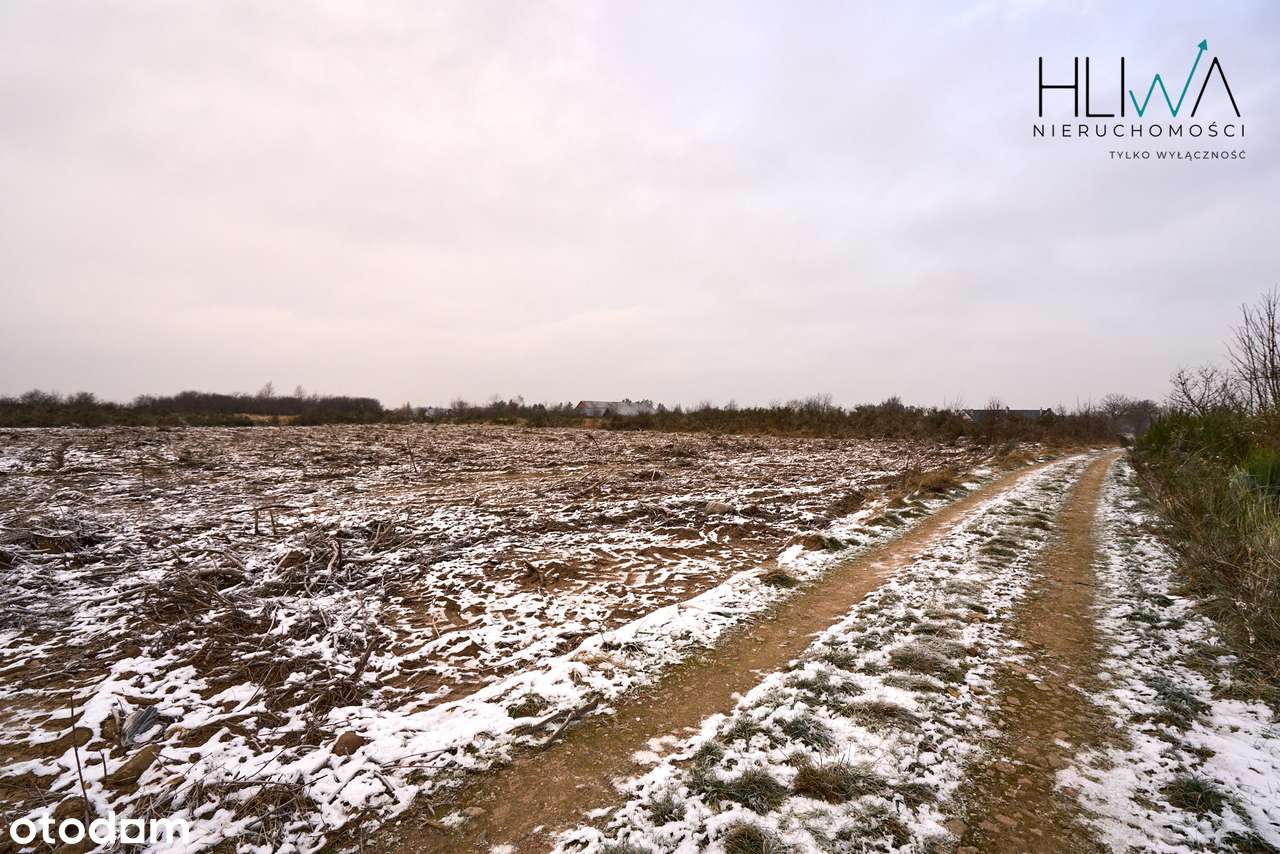 Działka zagrodowa Mierzyno gm. Gniewino 3011 m2-15