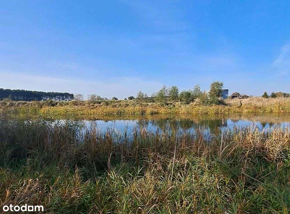 Działka, 39 500 m², Środa Wielkopolska - Pełny obrazek: 5/15