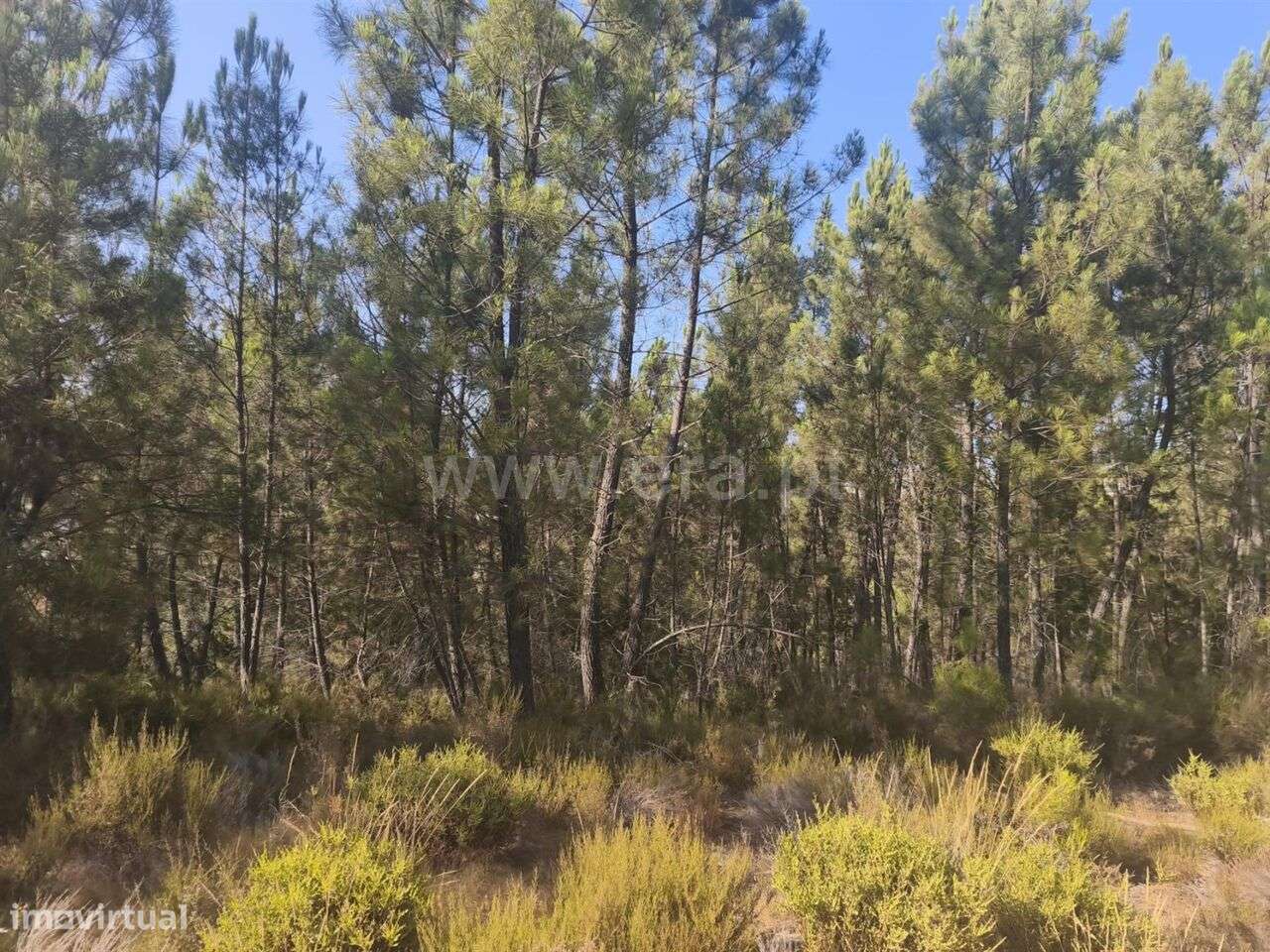 Terreno Rústico / Fundão, Silvares - Grande imagem: 5/6