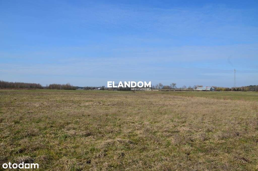 Duża działka z widokiem na las!! - Pełny obrazek: 5/8