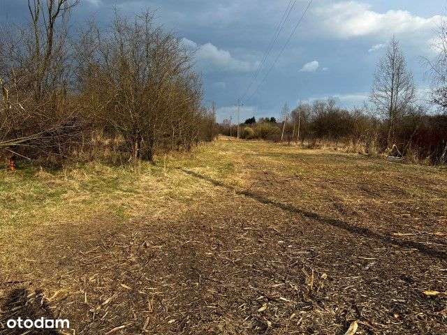 Działka ze stawem w Tuszynie. - Pełny obrazek: 4/7