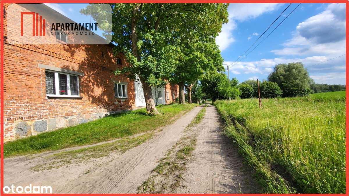 Józefinowo, duże mieszkanie bezczynszowe. - Pełny obrazek: 2/10