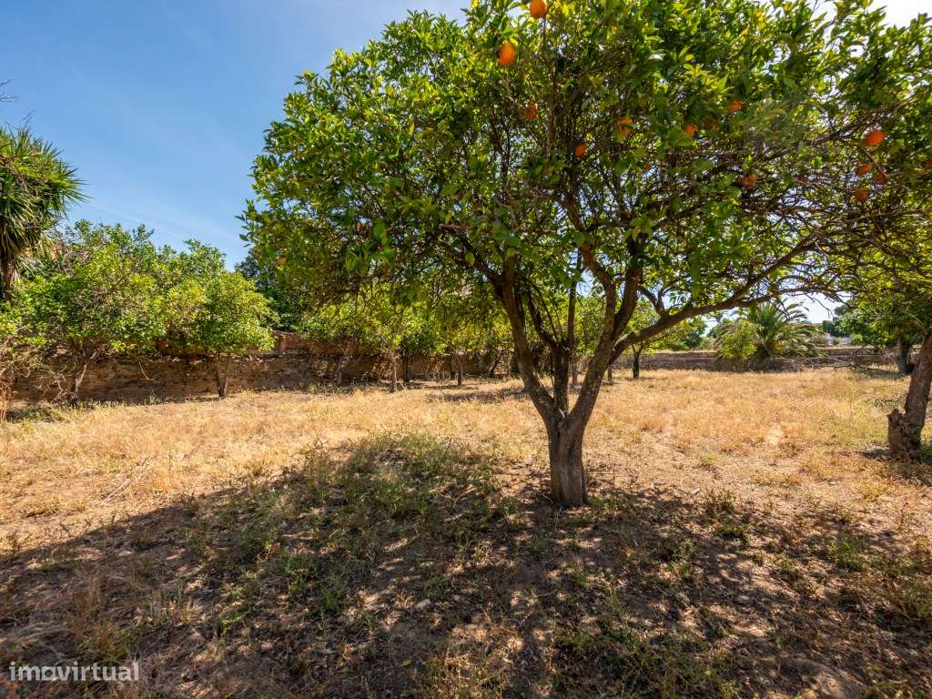 Quinta de São Miguel | Um Projeto Único junto ao Castelo de Estremo...-21