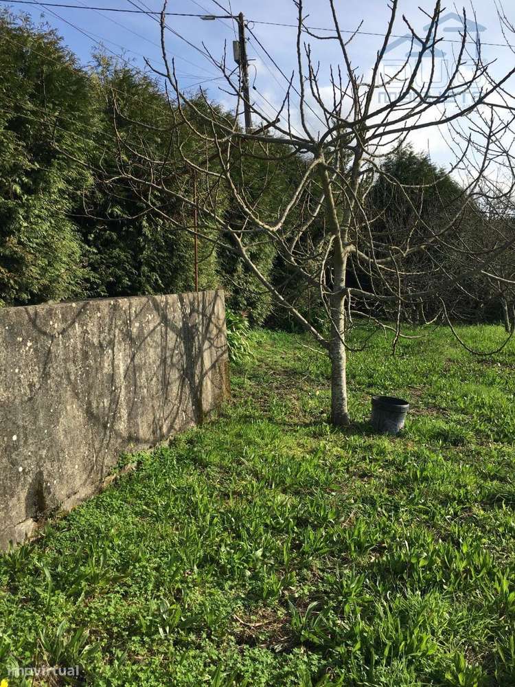 Terreno em Souselo - Cinfães - Grande imagem: 4/7