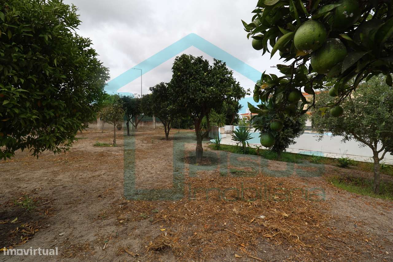 Moradia, Quinta do Conde, Sesimbra piscina, terreno c/arvores de fruto-53