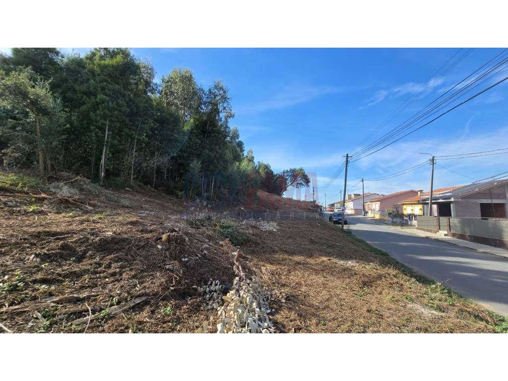 Oportunidade de Investimento: Projeto em curso para 36 Apartamentos...-11