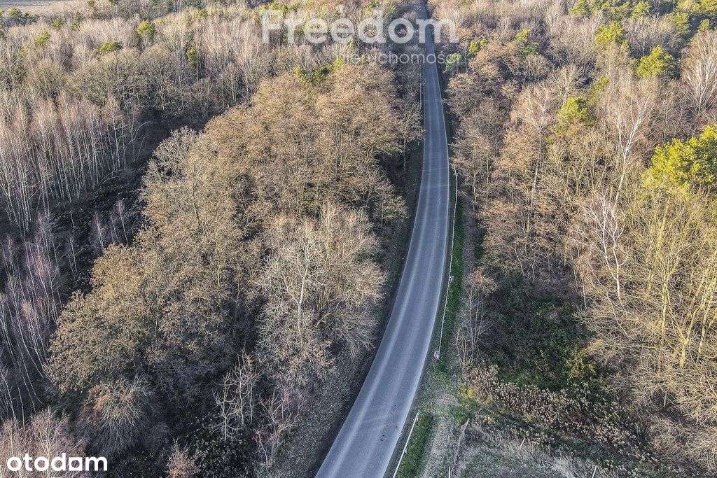 Działka 39,75 ar przy drodze i lesie– Giedlarowa - Pełny obrazek: 2/10