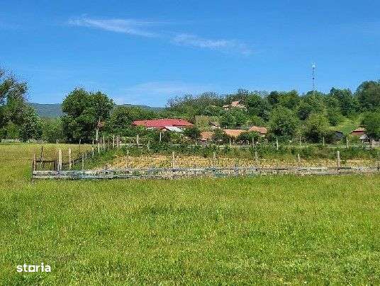 Teren extravilan arabil Tisau, ID: R2590475 - Imagine principală: 1/10