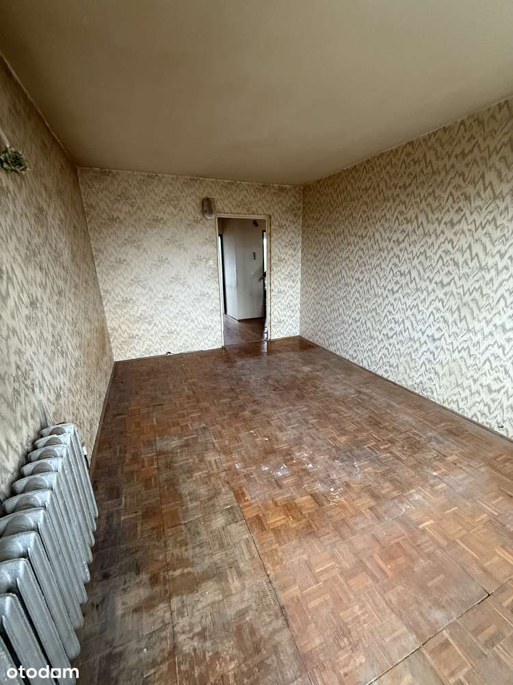 WRONIA - Pełny obrazek: 5/17