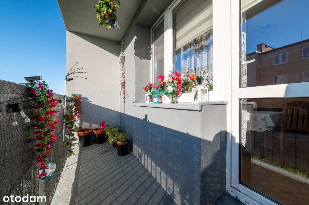 Duże, przestronne mieszkanie przy ul. Leszczyńskiej.-9