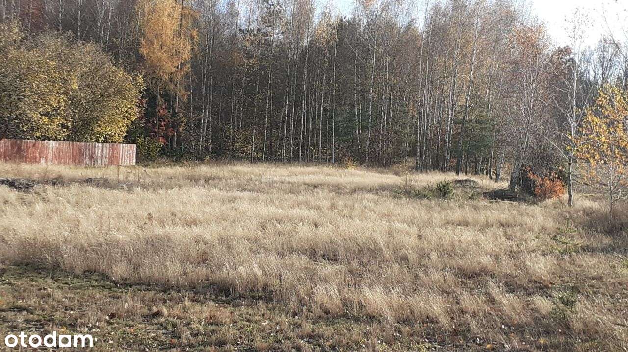 Działka, 4 800 m², Wola Wodyńska - Pełny obrazek: 5/9
