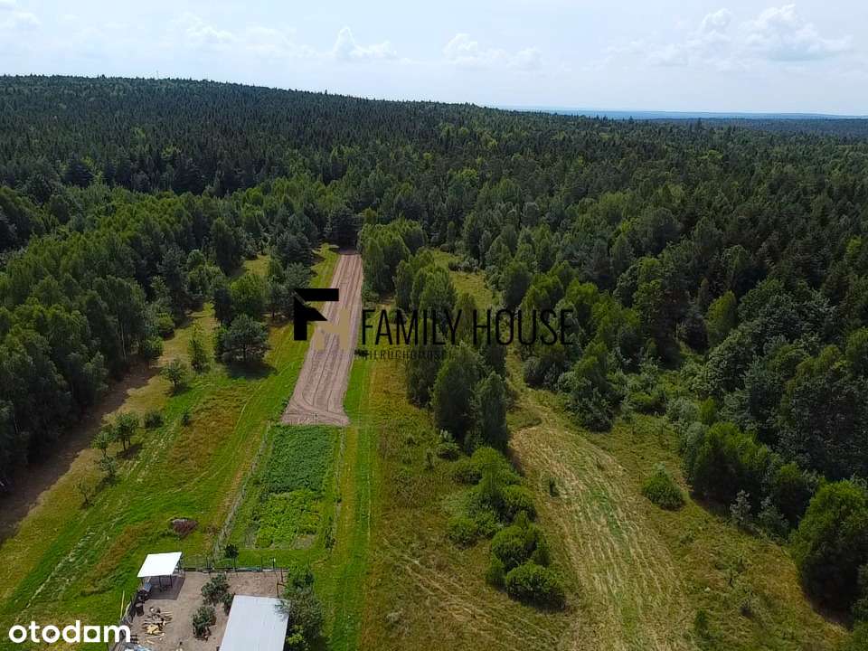 Piękna, duża działka w niskiej cenie - Pełny obrazek: 4/13