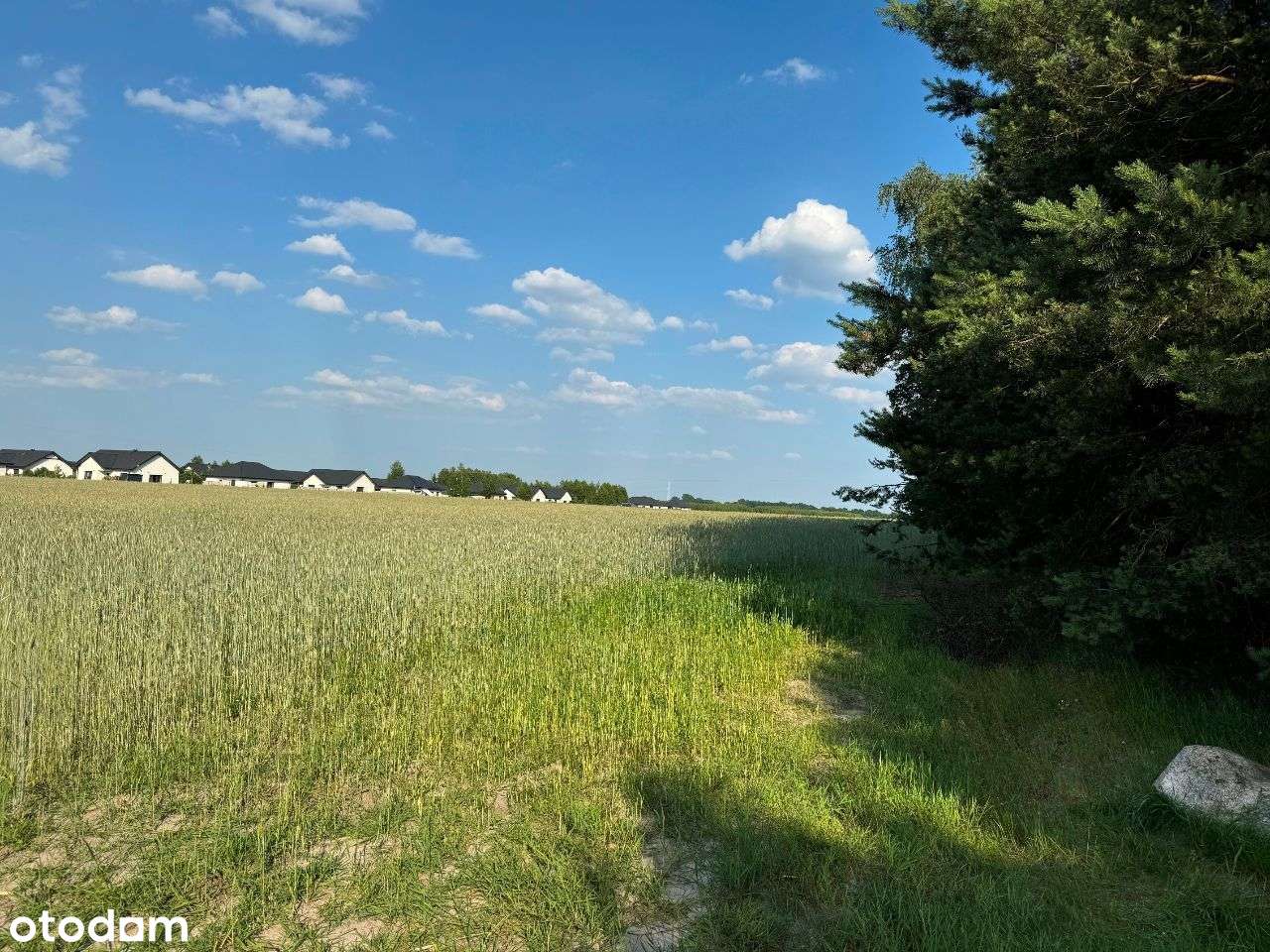 14 działek do wyboru z warunkami zabudowy w Strzelcach Górnych-13