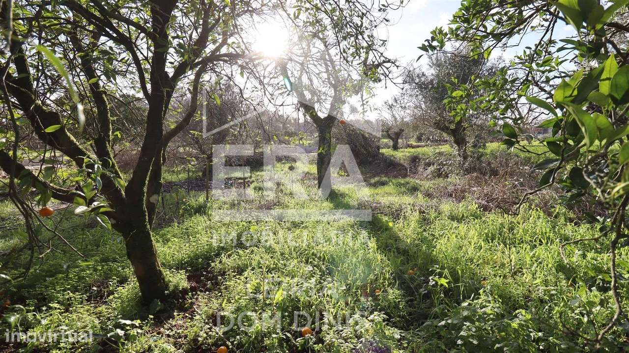 Moradia T4, localizada na freguesia de Pussos São Pedro - Grande imagem: 5/24