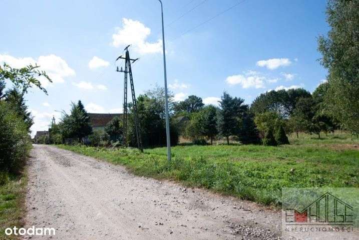 Kotowice-Działka-Las- blisko Wrocław/ Oborniki Śl.-6