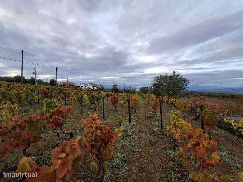 Terreno para construção - Grande imagem: 4/10