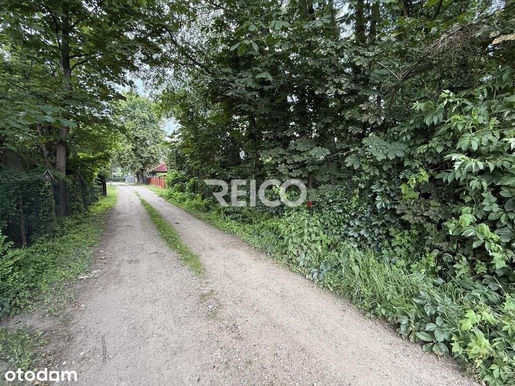 Pierwsza linia zabudowy nad Narwią - Pełny obrazek: 4/9