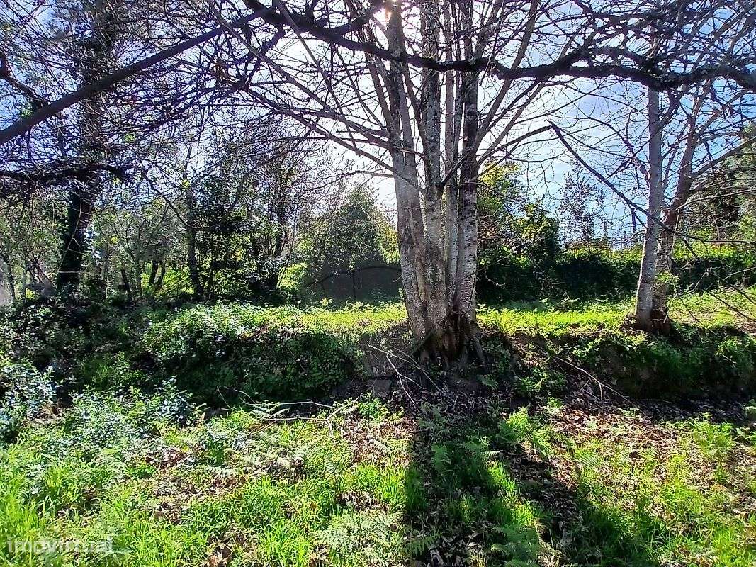 Terreno  para venda - Grande imagem: 5/24