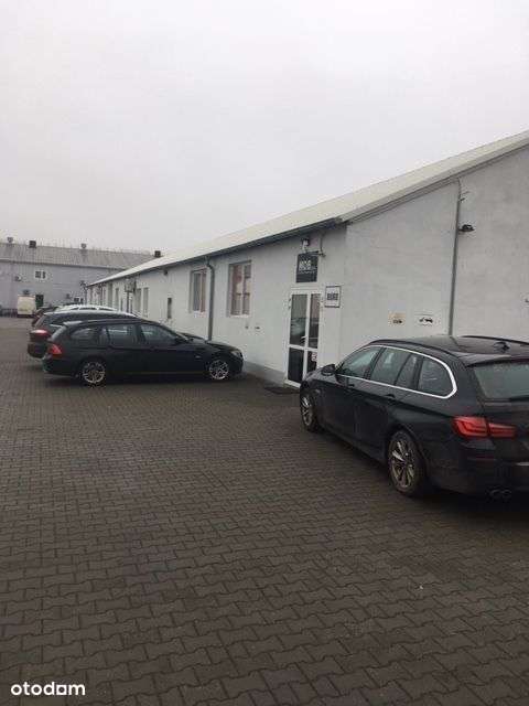 Hala/Magazyn, 800 m², Środa Wielkopolska - Pełny obrazek: 3/5