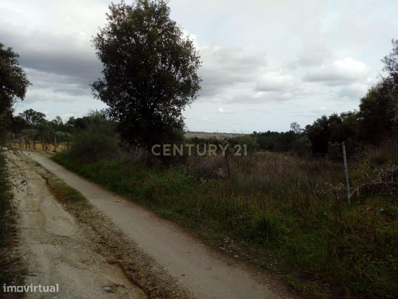 Terrenos rústicos, Salgueiro do Campo - Grande imagem: 3/6