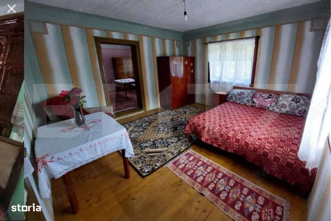 Casa individuala cu 3 camere, 217 mp utili,2000 mp teren,Intregalde - Imagine principală: 2/9