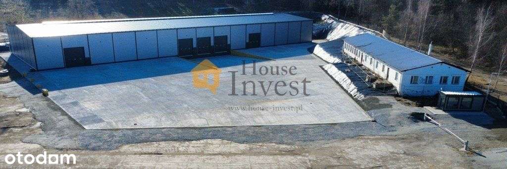 Hala Magazynowo Produkcyjna Okmiany A4 - 94 - Pełny obrazek: 5/6