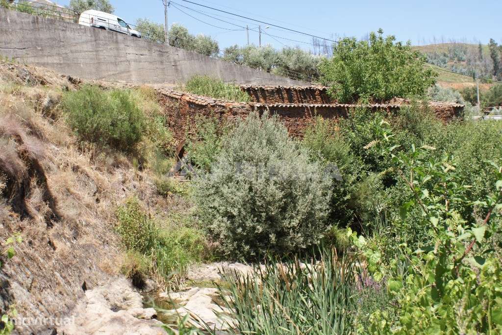Antigo lagar em ruina - Grande imagem: 4/11