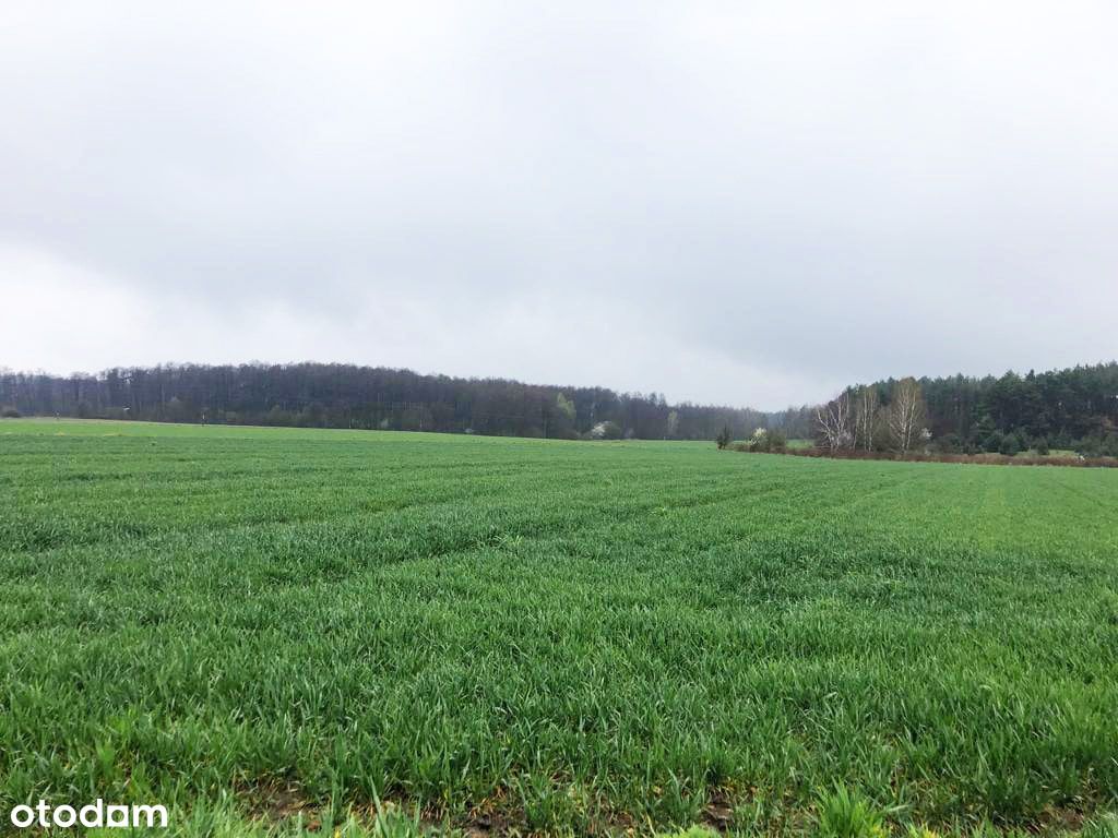 Stryków A1/A2 Działka 4,9ha w tym 1,2ha budowlana