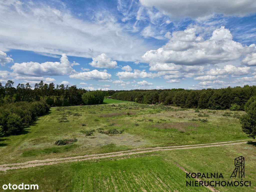 Działka 3004 m² | WZ | Możliwy większy areał - Pełny obrazek: 5/6