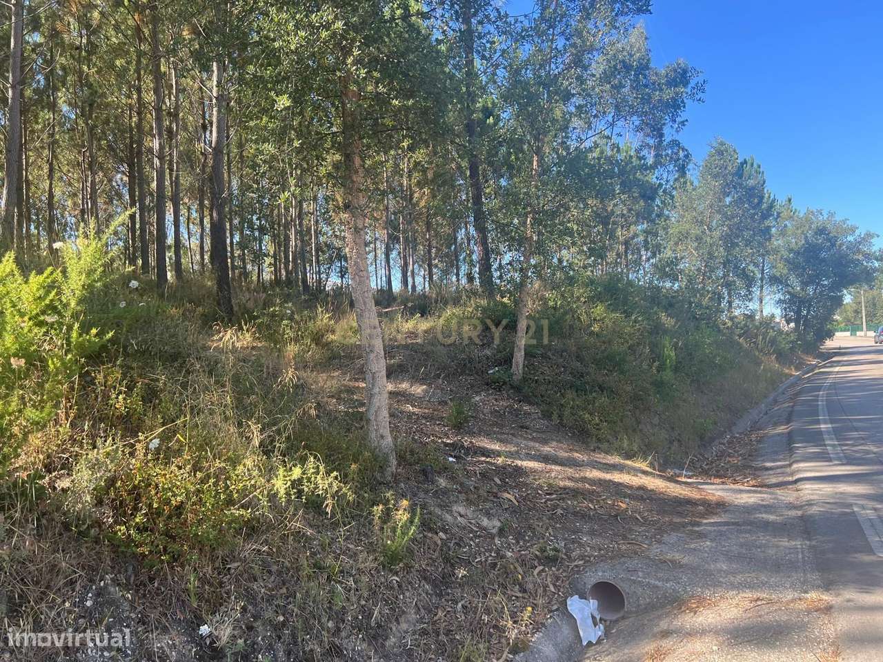 Terreno para construção - Grande imagem: 2/5